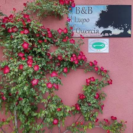 Il Lupo E La Quercia * Castelnuovo Magra
